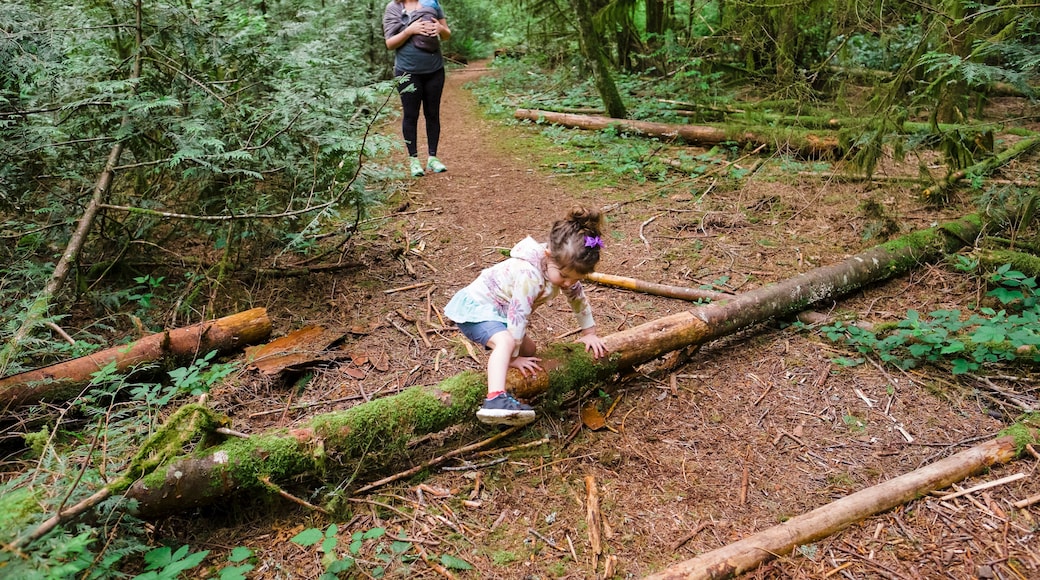 Young kids hiking the Horse Rock Ridge Trail near Eugene Oregon.