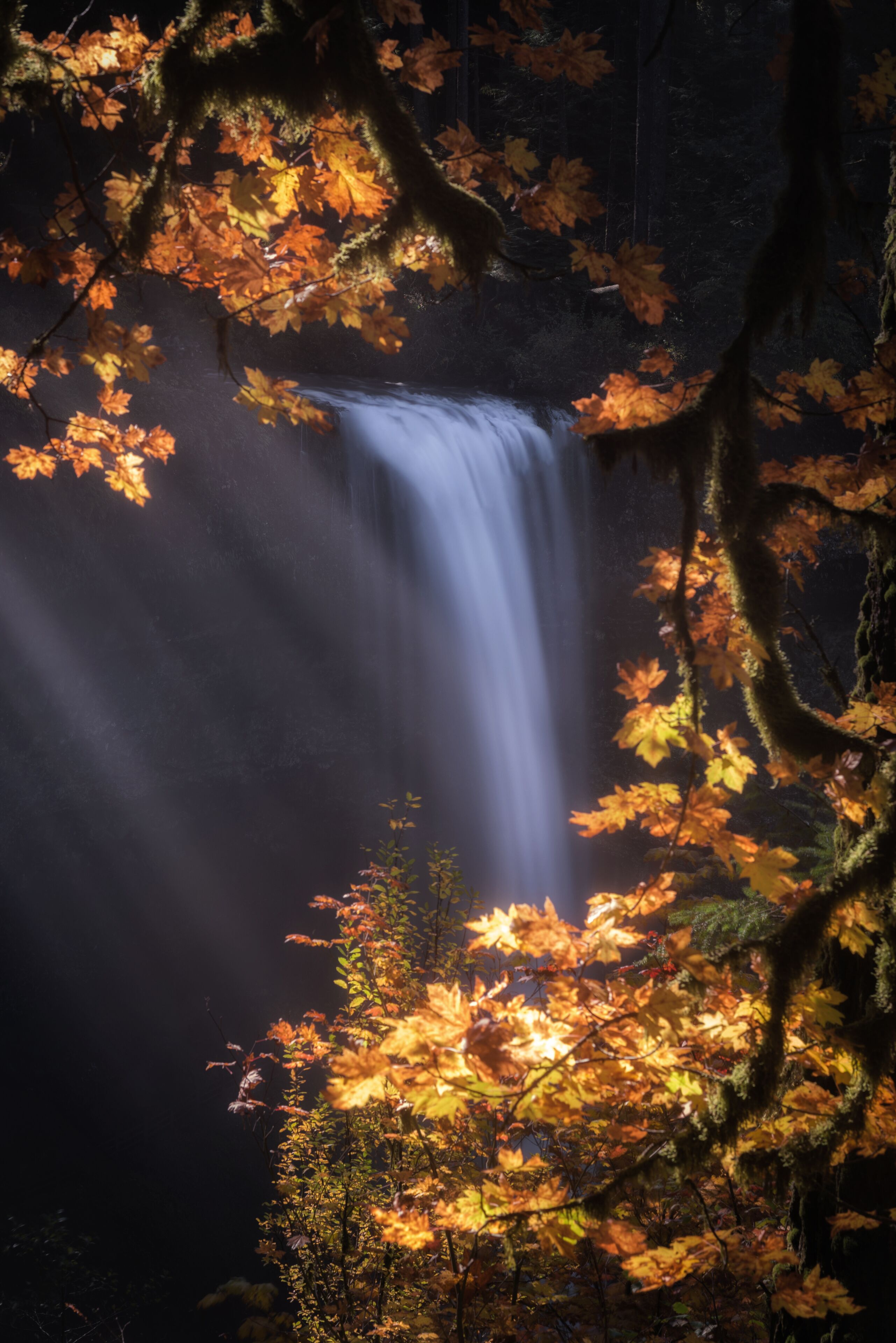 A waterfall surrounded by autumn foliage.