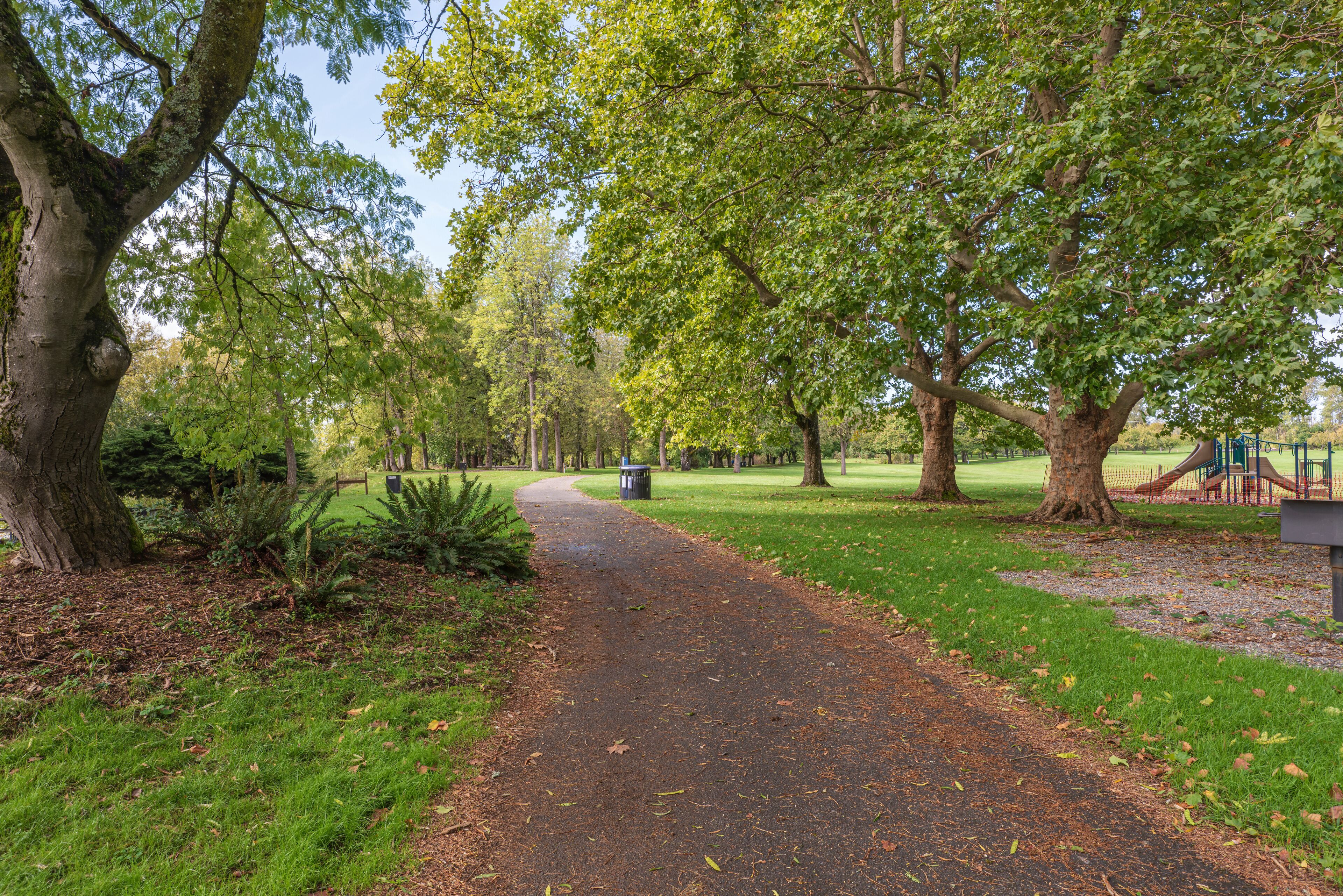 Public park green foliage and grass Oregon.