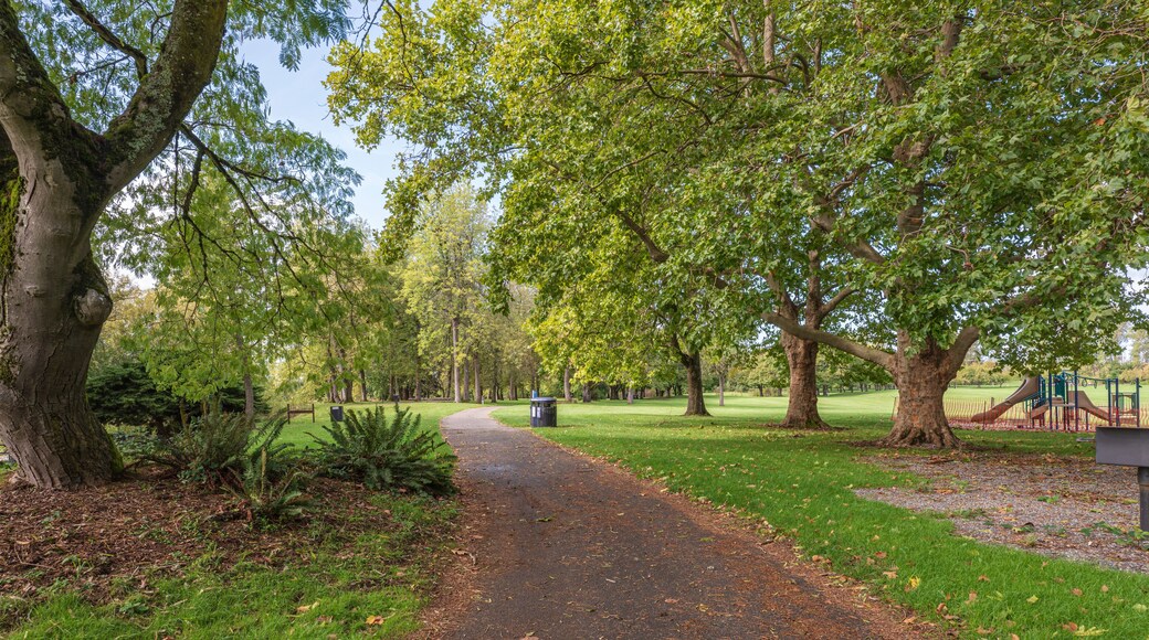 Public park green foliage and grass Oregon.