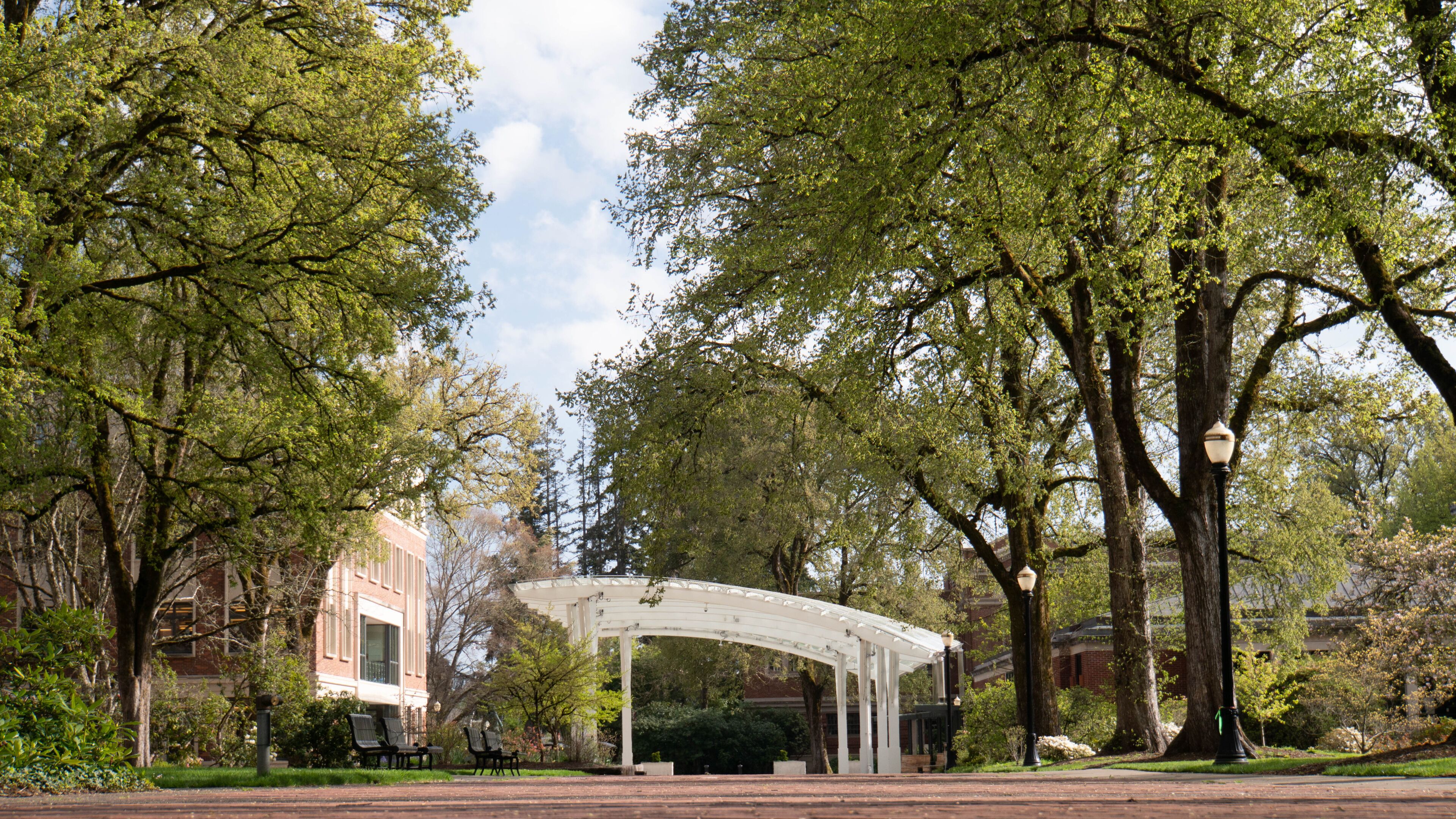 covered area Corvallis Oregon 