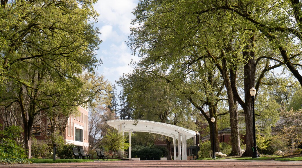 covered area Corvallis Oregon