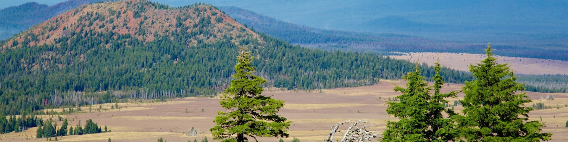 Roseburg which includes forests and landscape views