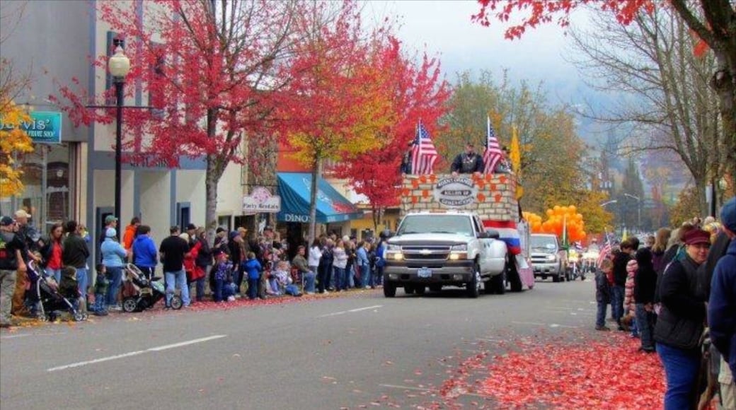Roseburg featuring autumn leaves, a festival and street scenes