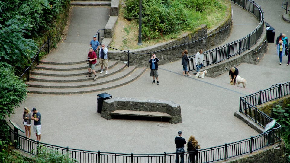 A park with a stone bench, a curved stone wall, and a metal railing.
