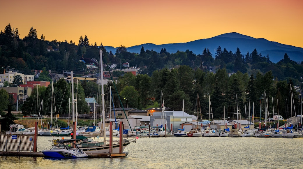 A harbor with boats, a mountain in the background, and a sunset.