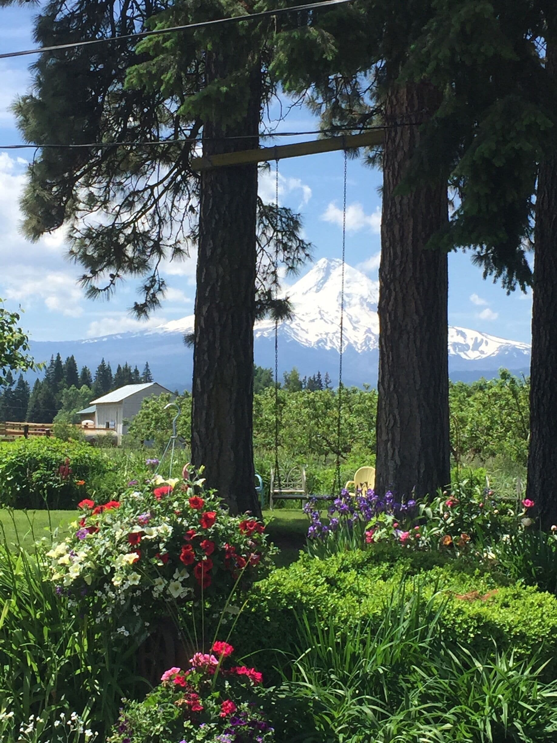 Beautiful area. I could spend all day on this swing 