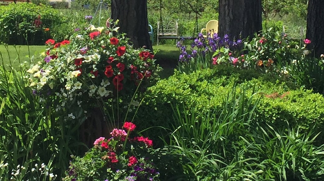 Beautiful area. I could spend all day on this swing