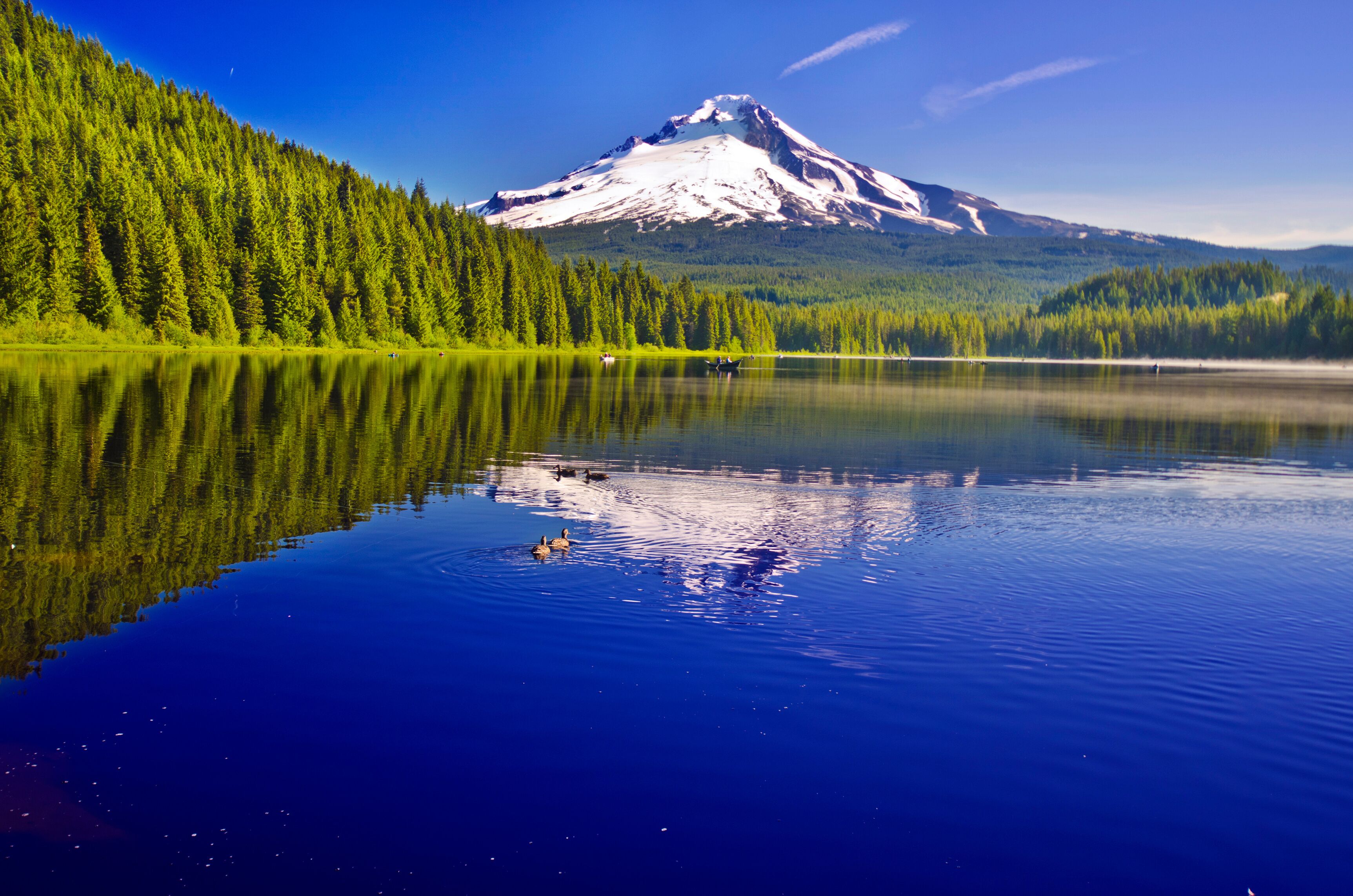 Mount Hood Reflection at Trillium Lake