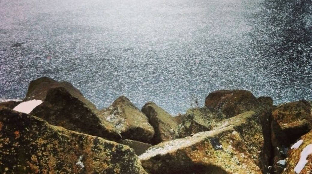 #scotland #eastkilbride #lake #frozen #ice