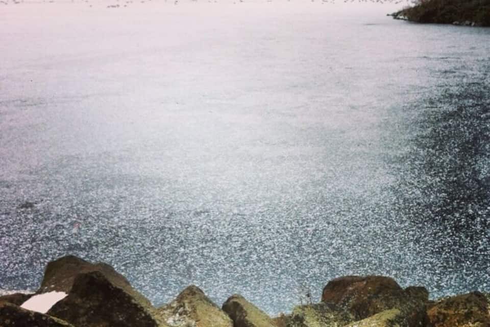 A frozen river with houses in the background.