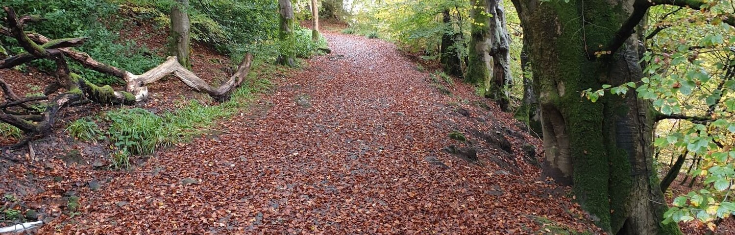 Autumn is in full pelt