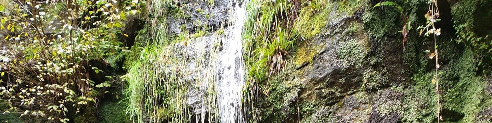 A waterfall cascading down a moss-covered rock face.