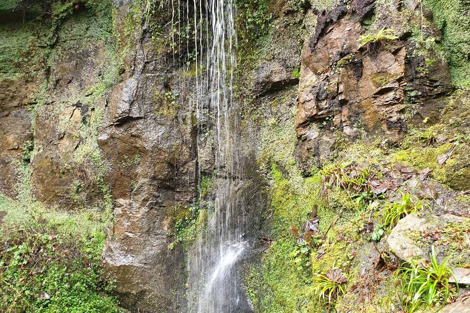 A waterfall cascading down a moss-covered rock face.