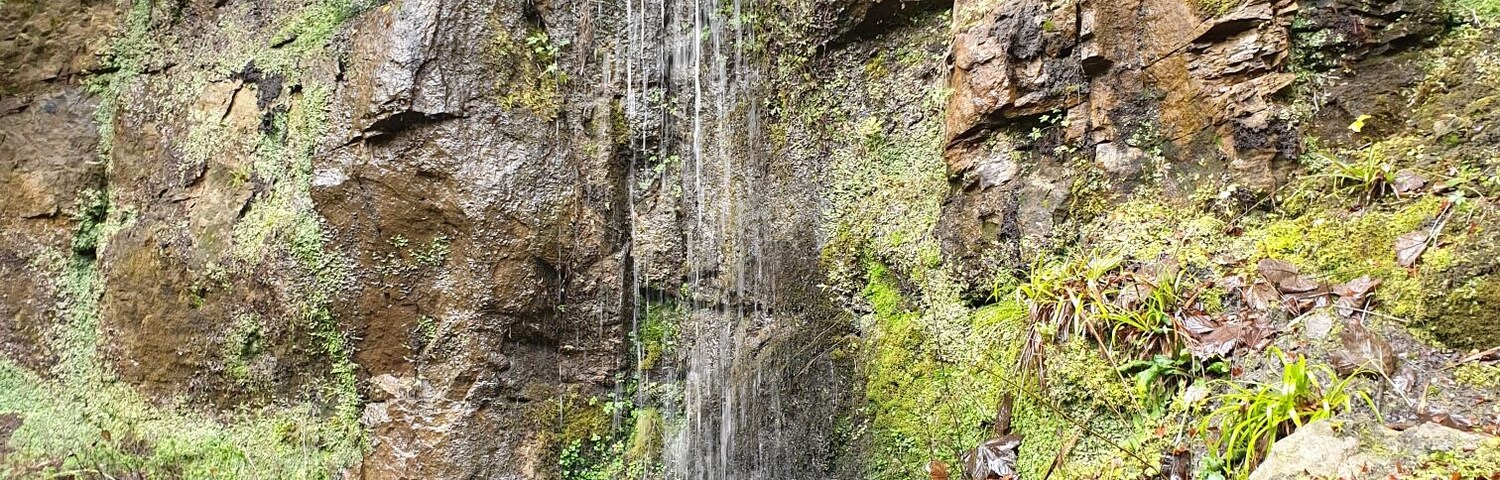 Lots of water at the glen today due to all the rain