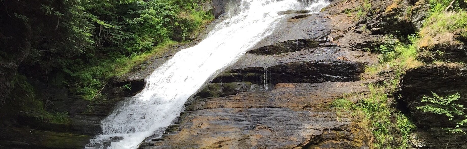 Nice easy hike through the cool woods. Very refreshing.