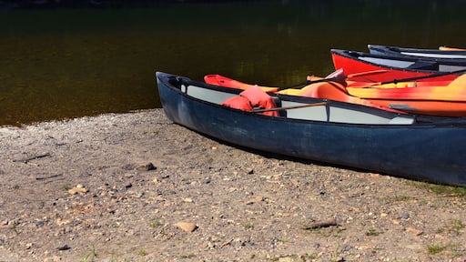 Canoes and Kayaks Ready for Float Trip on Caddo