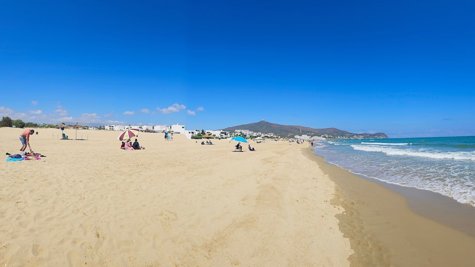 A sandy beach with people sunbathing and a mountain in the background.