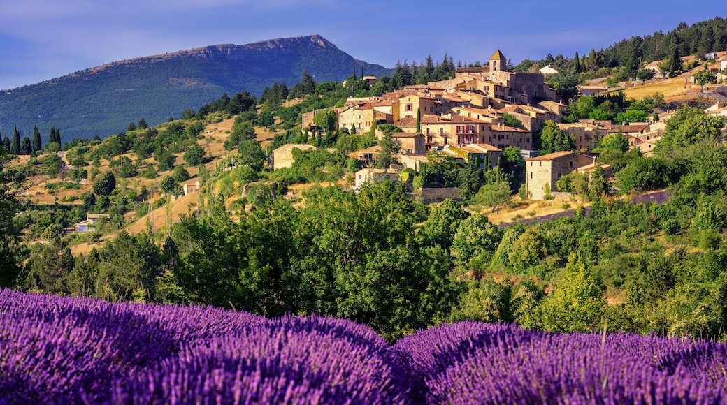 Aurel town and lavender fields in Provence, France