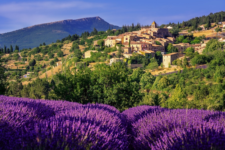 Aurel town and lavender fields in Provence, France