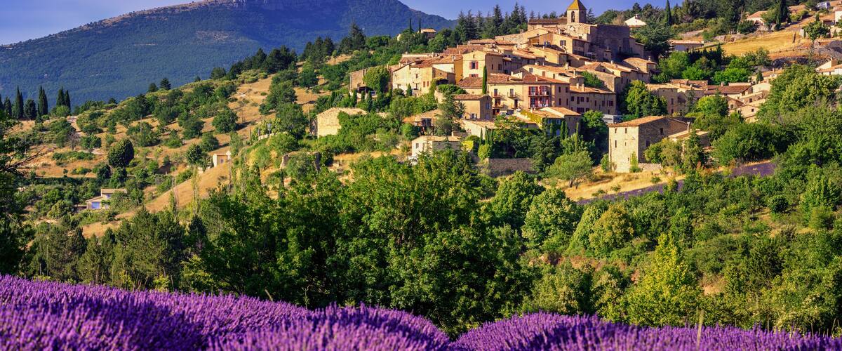 A hillside village with lavender fields, a church, and a mountain in the background.