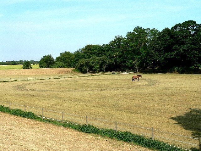 A Circular Walk at Cawood.