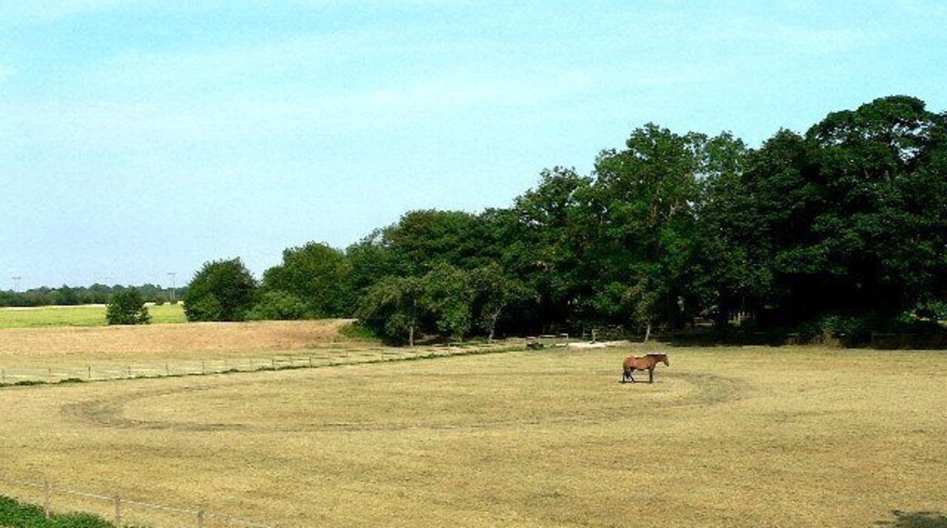 A Circular Walk at Cawood.
