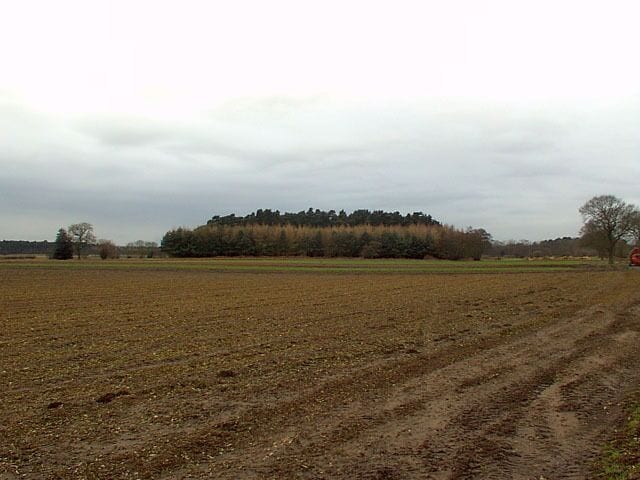 Coppice near West End Farm Woodland.
