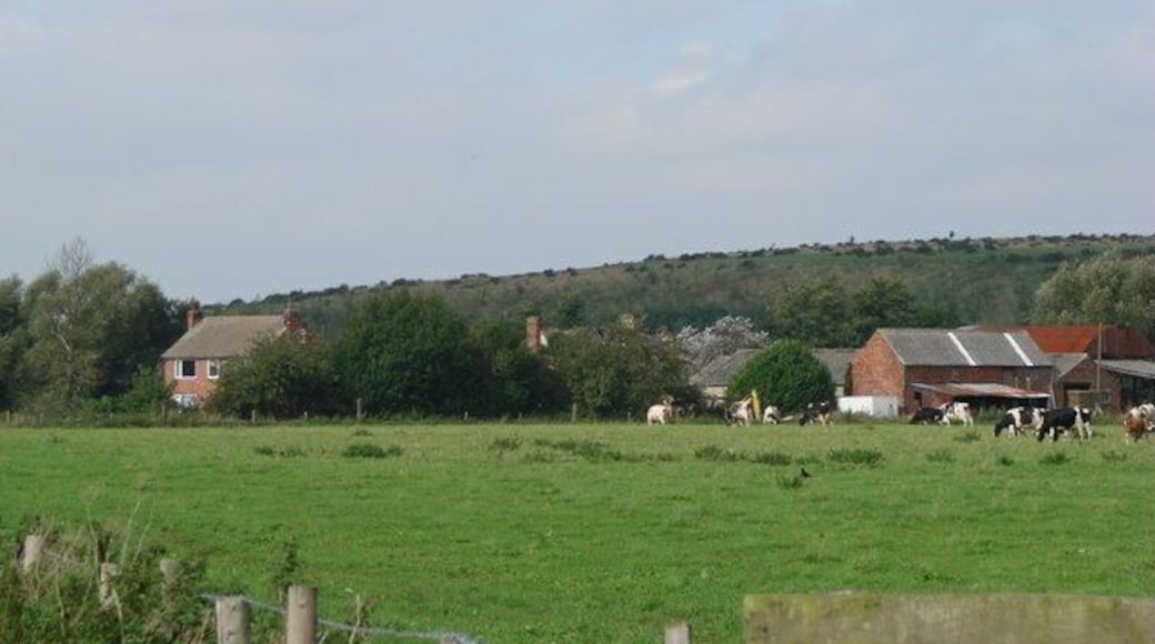 Owlet Hall, Hambleton