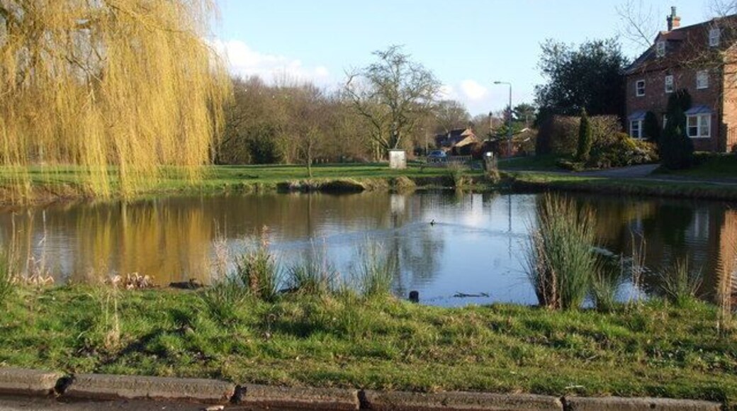 Skipwith Village Pond