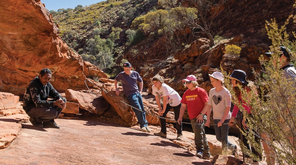 Uluru featuring desert views as well as children