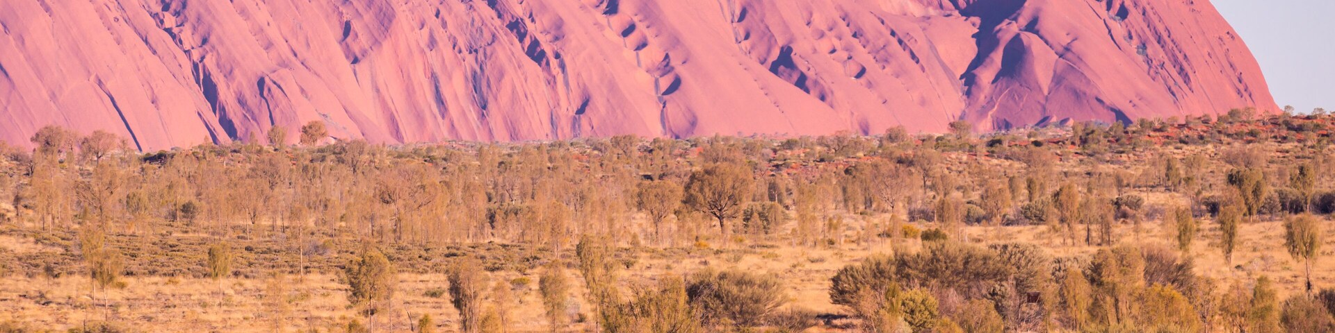 Majestic Uluru and a camel tour on a clear winter's evening sunset in the Northern Territory, Australia; Shutterstock ID 367034735; Purchase Order: -