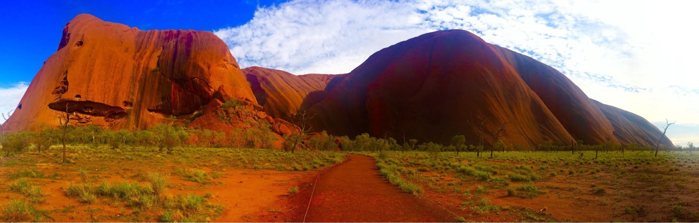 The red centre  ♥️