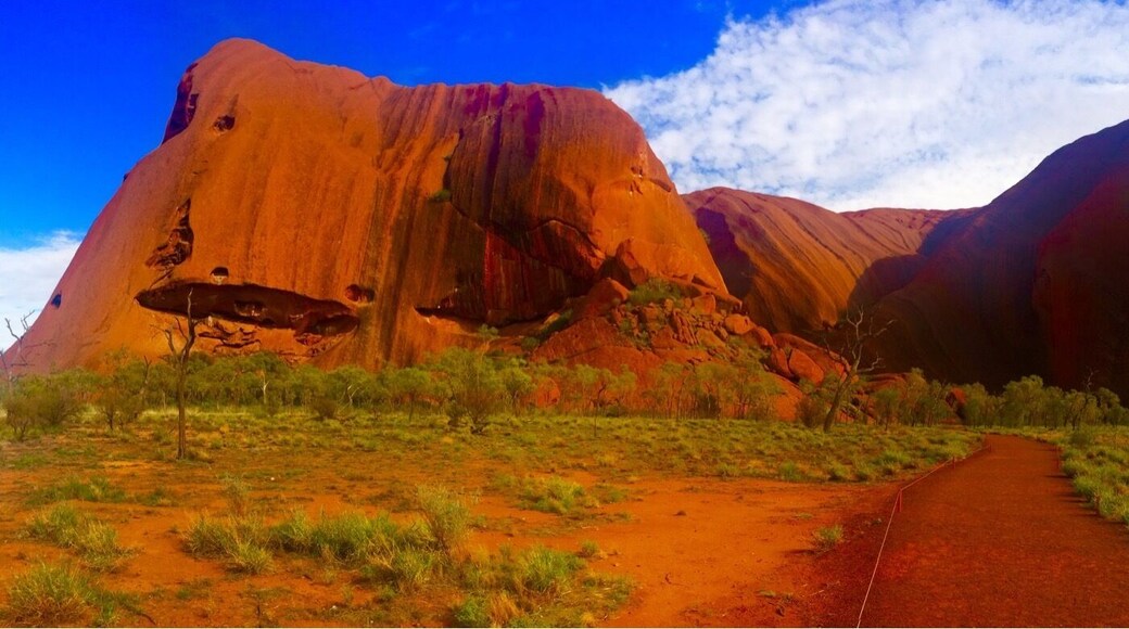The red centre ♥️