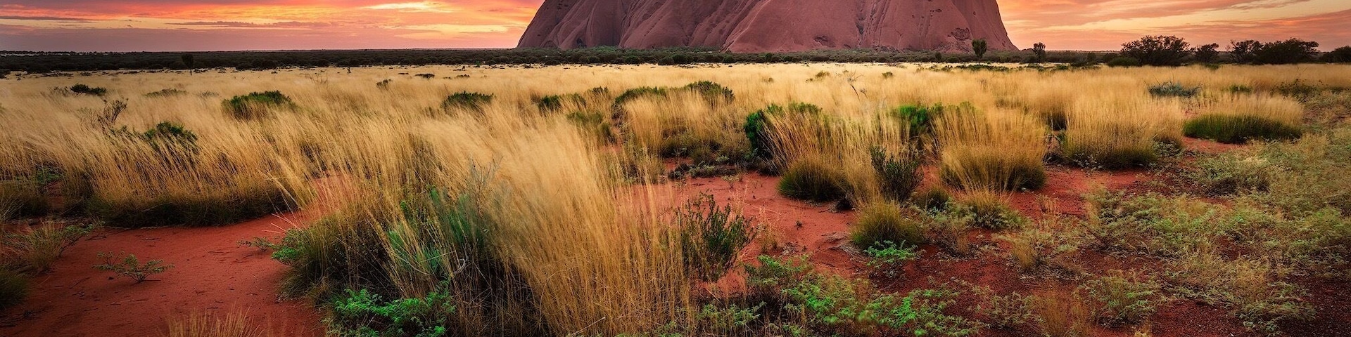 I photographed Uluru over six times while I was on my trip there last year, literally every sunrise and sunset. This particular one was my last shot which is my favourite over every other I have taken there. That morning the weather was cloudy, so I was hesitating if I should go or not, to get one last photo of the most iconic location in Australia. Although the sky was dull and boring when I arrived there and I thought it wouldn't get any better, explosions of colours happened just after the sun appeared on the horizon. Then, I was sure this is the one 👌.
I hope you like it.
Please feel free to share if you like it and don’t forget to like my page or follow me on Instagram to stay tuned for more updates.
More details about my work:
Instagram: https://www.instagram.com/aleksandar_trpkovski/
Facebook: https://www.facebook.com/AlexTrpkovski/
Website: www.AleksTrpkovski.com