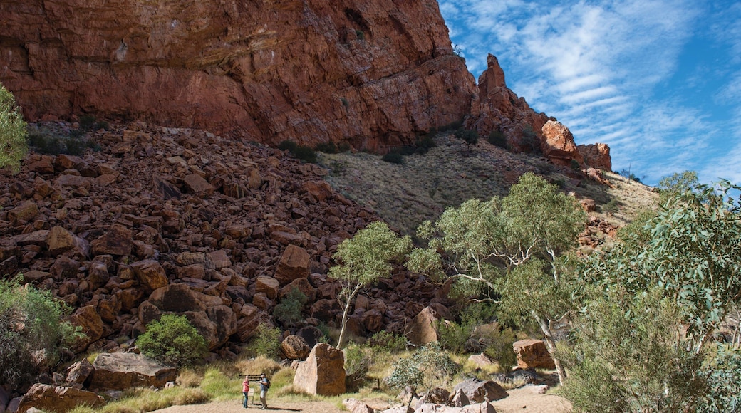 Uluru featuring desert views
