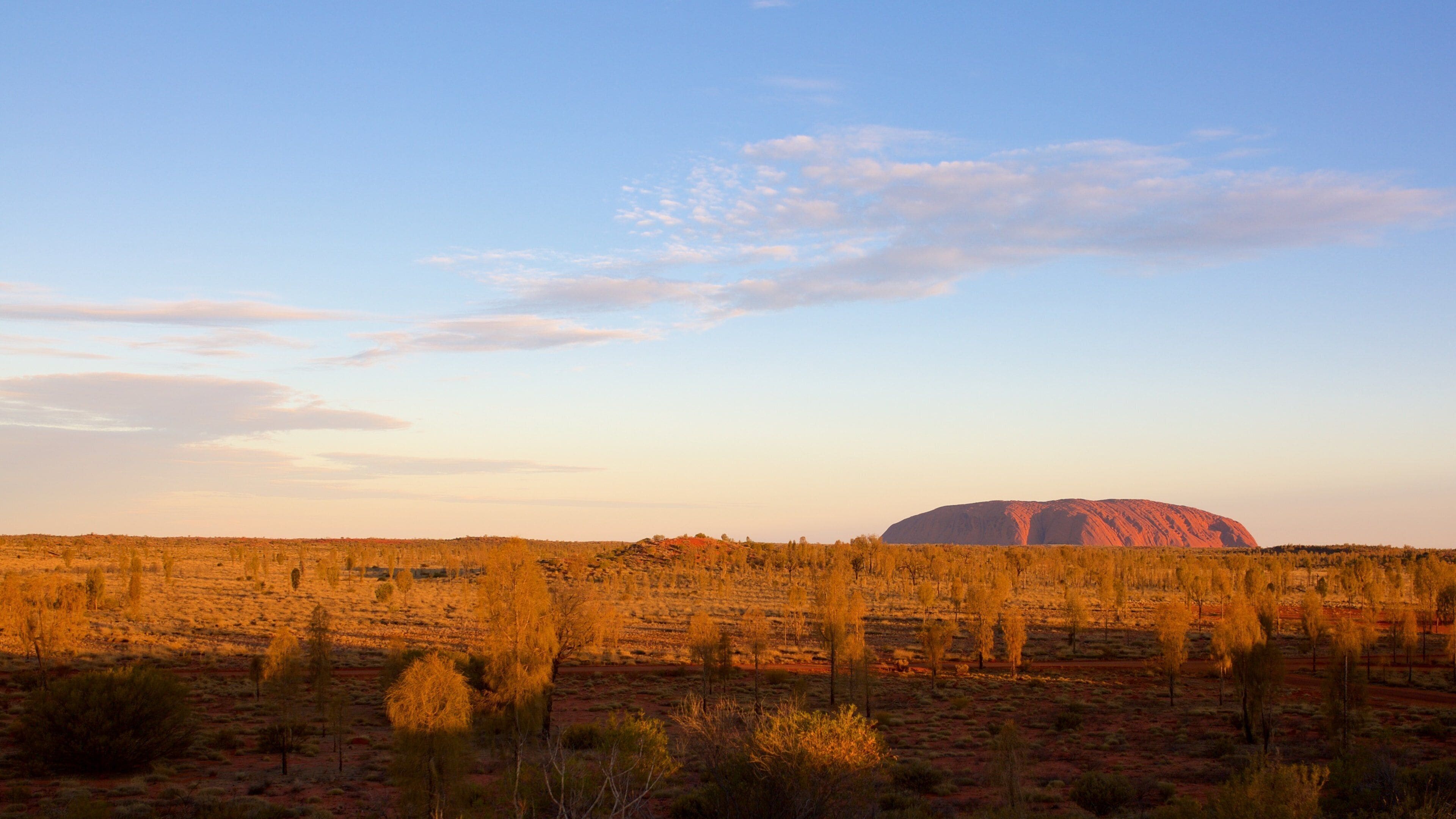 Uluru som viser udsigt over landskaber og udsigt over ørkenen