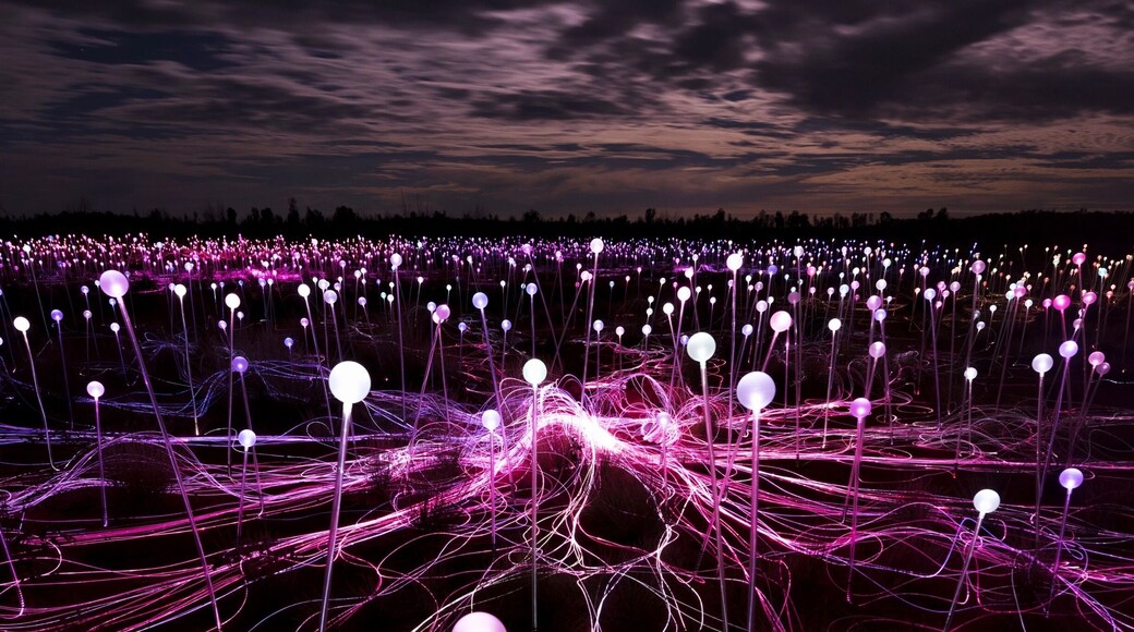 This is the Field of Light, a very special art event being held in Uluru for one year only. Starting on the 1st April this is an event not to be missed and an opportunity to finally tick Uluru off your bucket list. Artist Bruce Munro has installed 50,000 lights in the desert and the effect is magical!