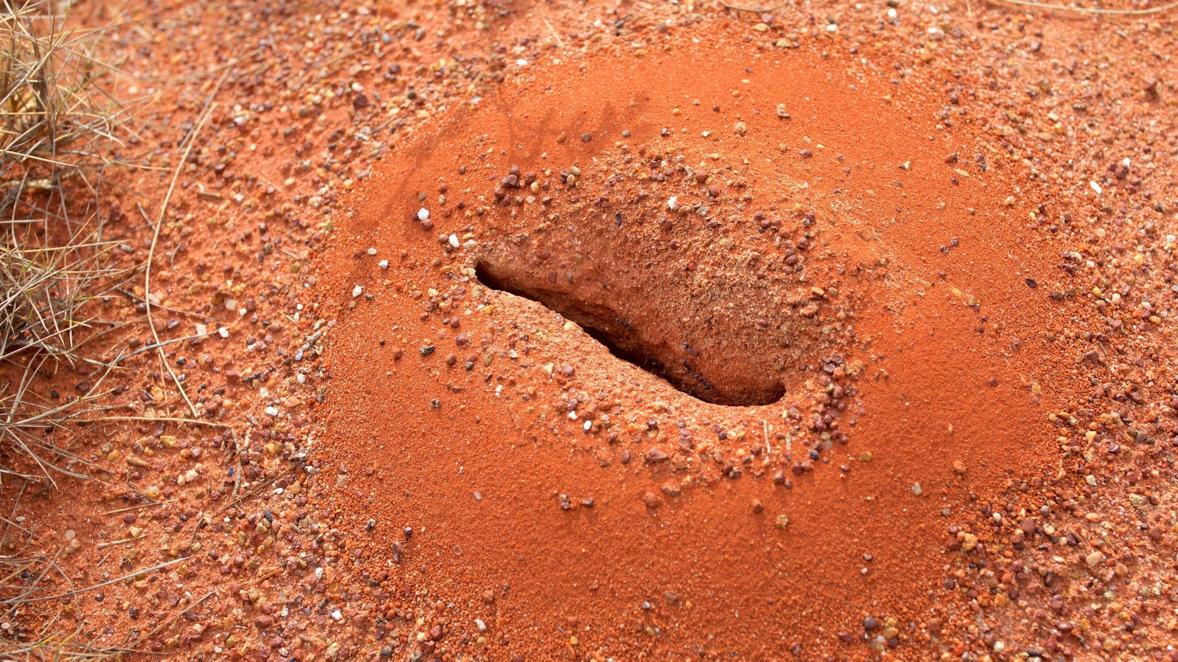Un montículo de tierra rojiza con un hundimiento en el centro, rodeado de piedras pequeñas y vegetación escasa.