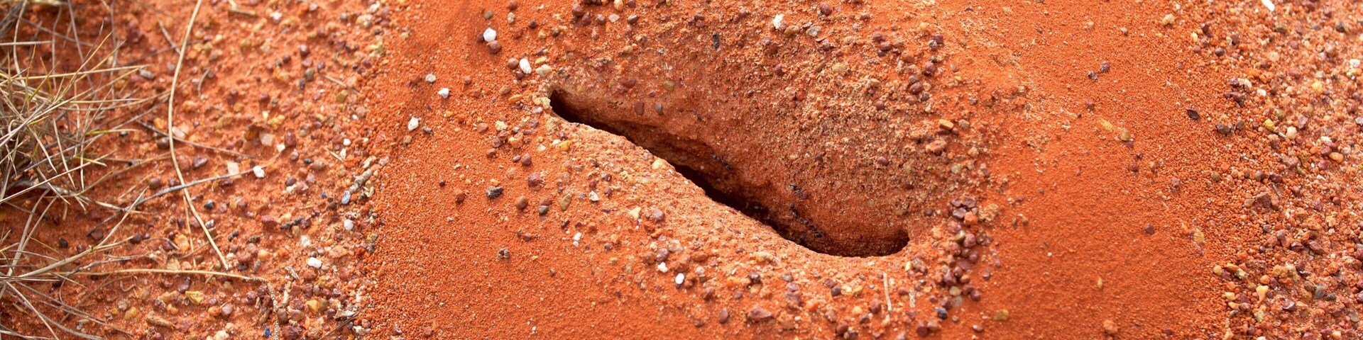 Un montículo de tierra rojiza con un hundimiento en el centro, rodeado de piedras pequeñas y vegetación escasa.