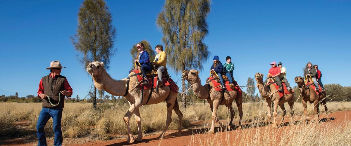 Uluru-Kata Tjuta National Park das einen Landtiere und Wüstenblick sowie kleine Menschengruppe
