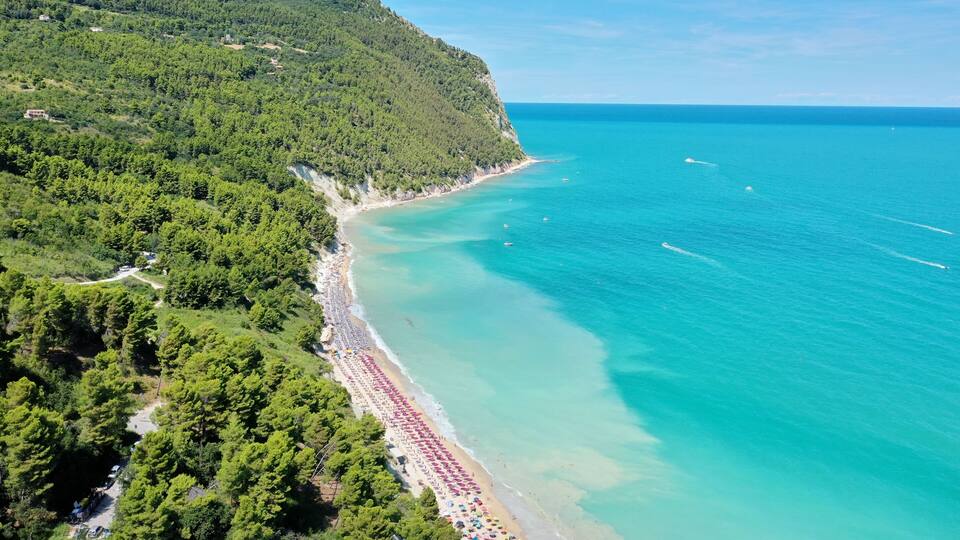 A coastal landscape with a beach, dense forest, and a clear blue sea.