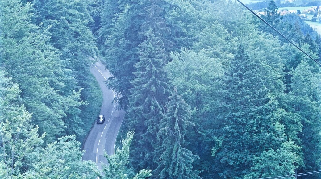 One of the best things to do when hiking in Freiburg is taking the cable car to Schauinsland. In addition to the gorgeous view, there are loads of hiking trails at the top. It is 12 euro for a roundtrip ticket on the cable car.