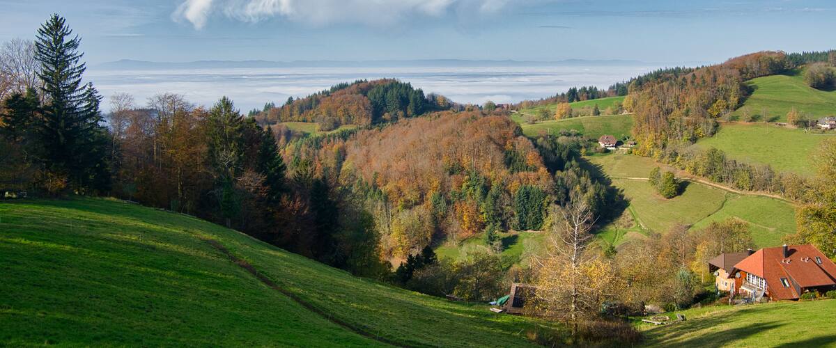 A lush green valley with rolling hills, a clear blue sky, and a few scattered houses.