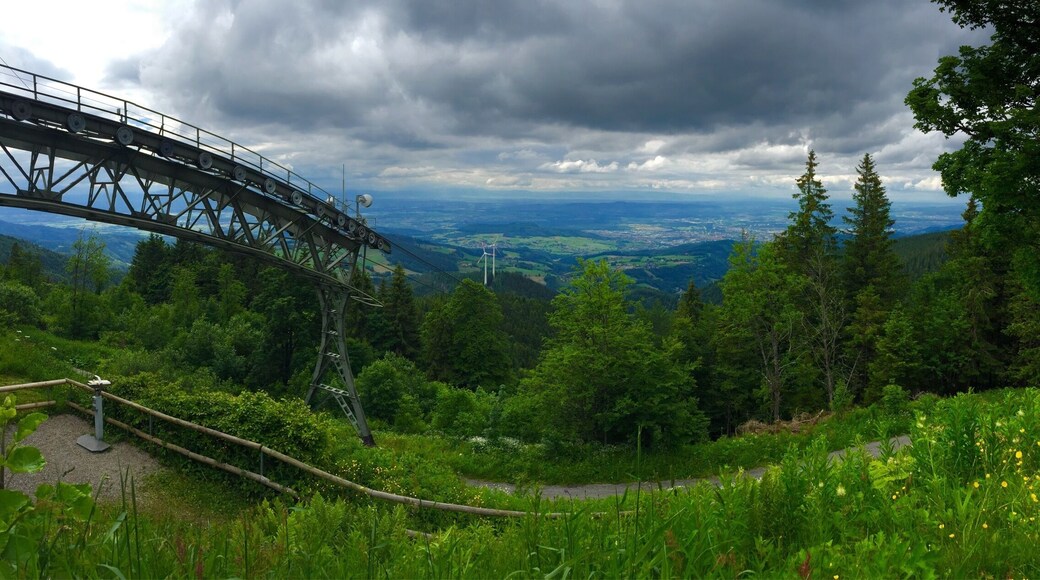 Freiburg is a fantastic home base to explore the Black Forest in Germany. One of the most stunning views is from the top of Schauinsland. You can take a cable car, enjoy the views and do a bit of #hiking at the top.