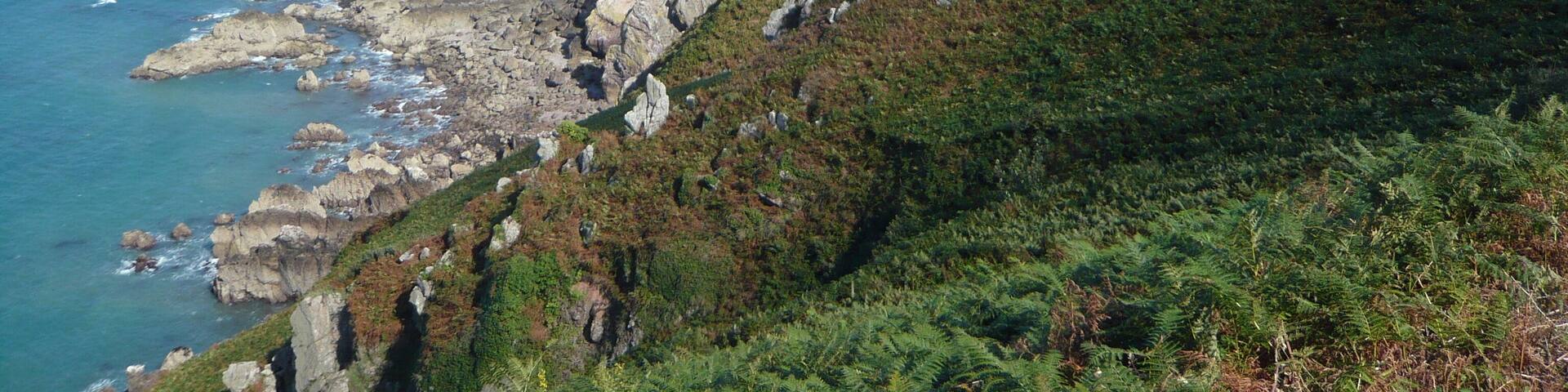 La Rue de Fremont, Jersey