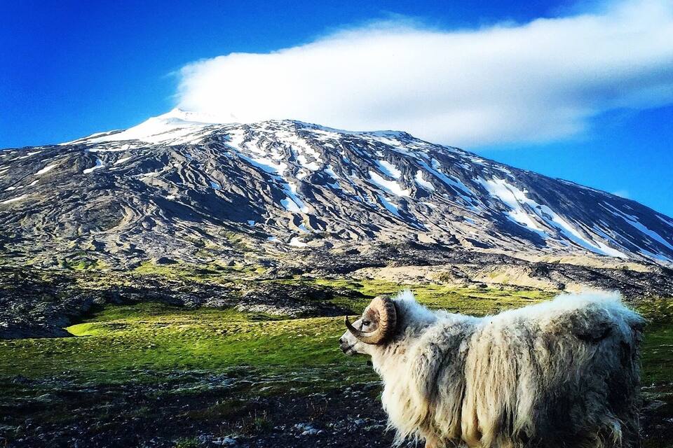 A mountain with snow-capped peaks and a grassy valley.