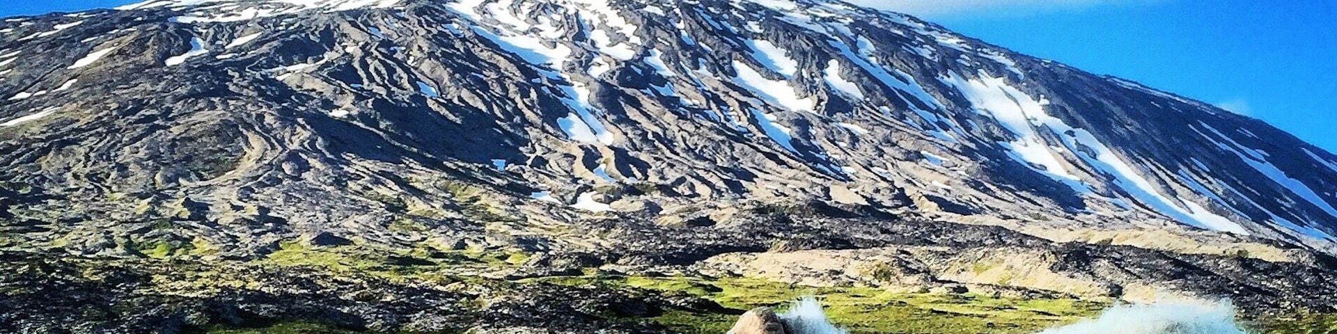 I meet this ram tonight, I took a roadtrip to SnĂŠfellsnes, looking at the glacier SnĂŠfellsjökull đđâïž