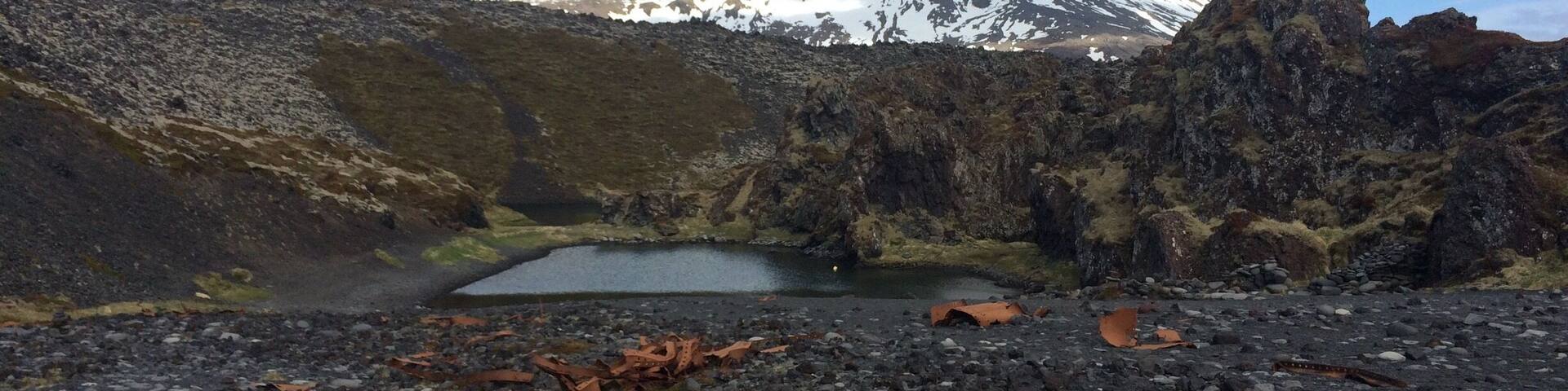A rocky landscape with a small pond, a snow-capped mountain in the background, and scattered leaves.