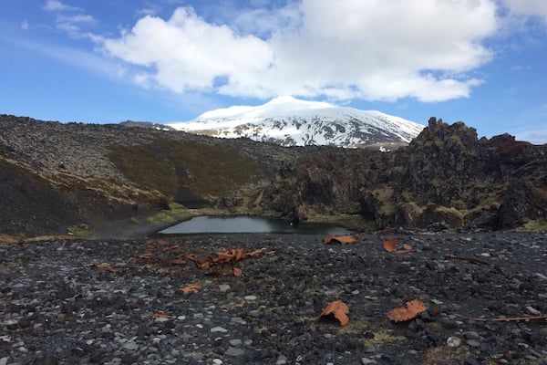 Un paysage rocheux avec un petit étang, une montagne enneigée en arrière-plan et des feuilles éparpillées.